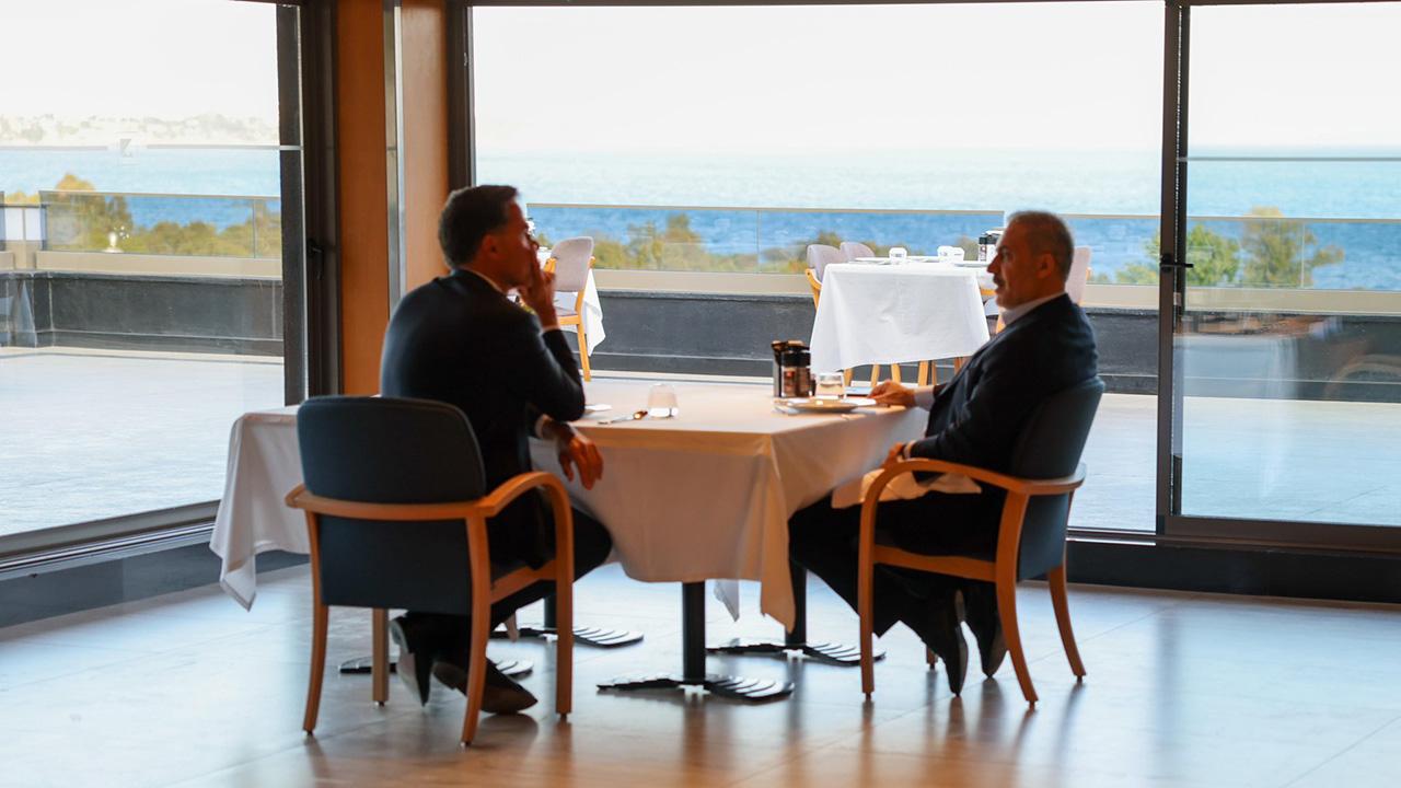 fidan-rutte-2360022.jpg
