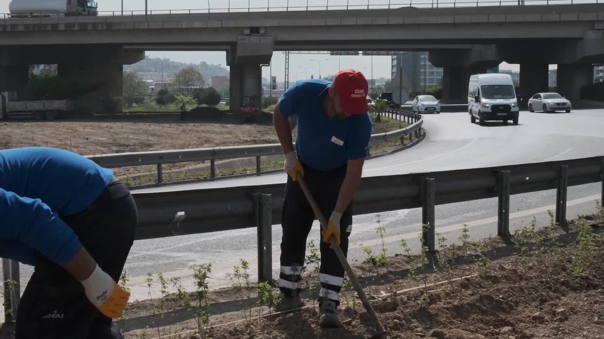 İzmir'de 3 Bin Ağaçla Yeşil Koridor Oluşturuluyor