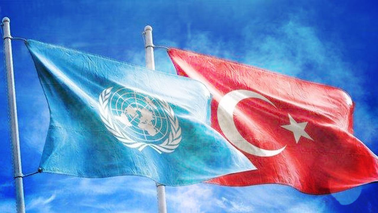 turkiye-bm-bayrak-1791419.jpg