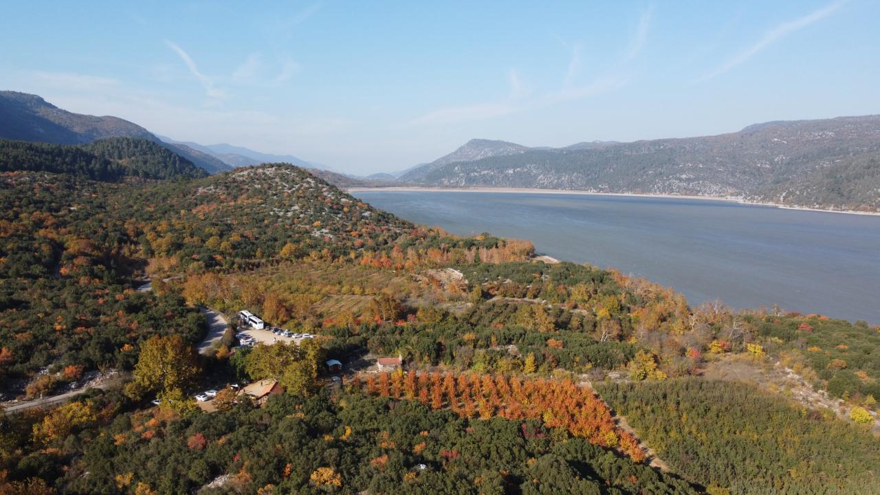 orman-aa-2364178.jpg