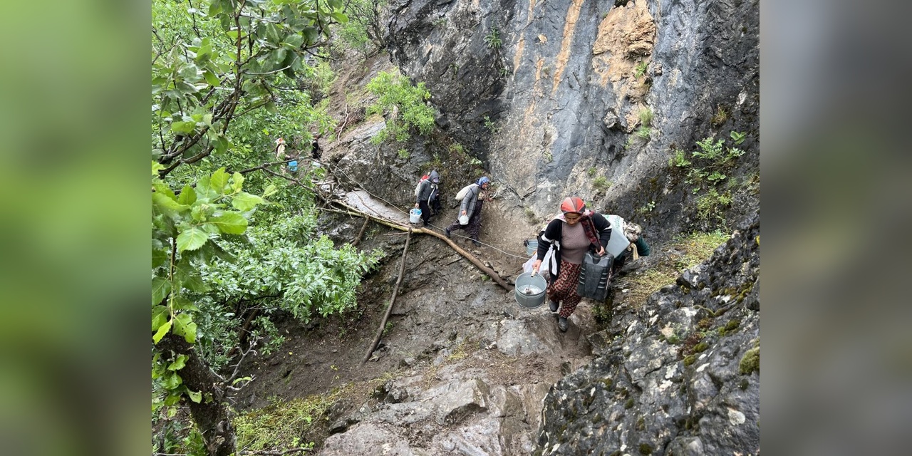 Yüksekova'da Berivanların Zorlu Yayla Mesaisi Başladı