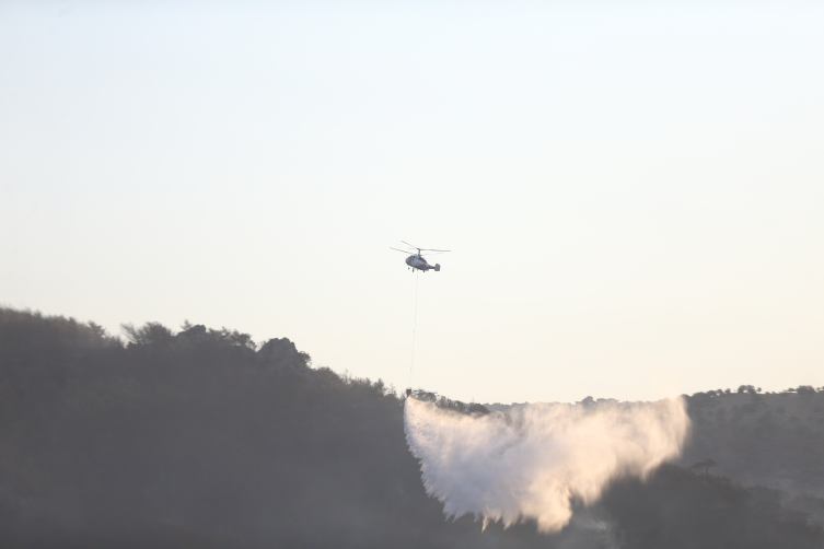 Çanakkale'de orman yangını