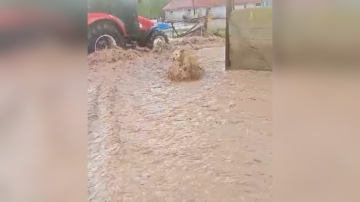 Sivas'ta Sağanak Sel Felaketine Neden Oldu