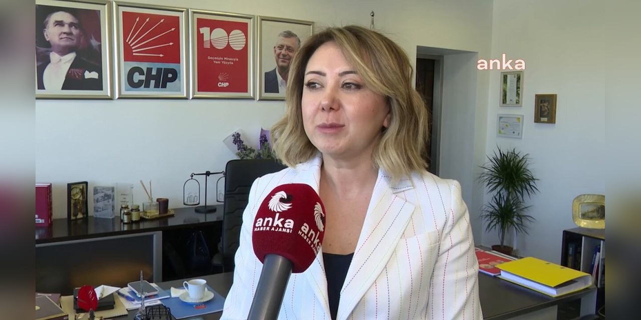 Esila Ayık ve Arkadaşlarının Tahliyesi: Gül Çiftci'den 'Adalet Utancı' Açıklaması