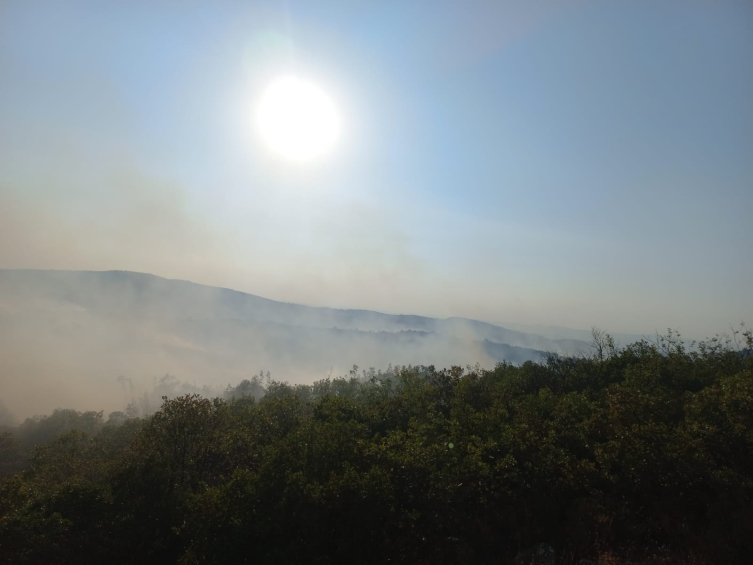 Balıkesir'de arazi yangını