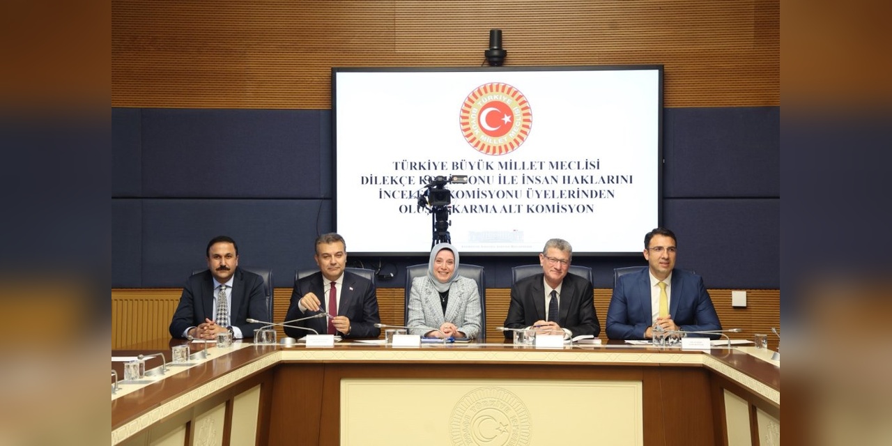 Kamu Denetçiliği Kurumu: Çocuk Suçluluğu Riski, HGS Sorunu ve Emekli Aylıklarındaki Farklılıklar