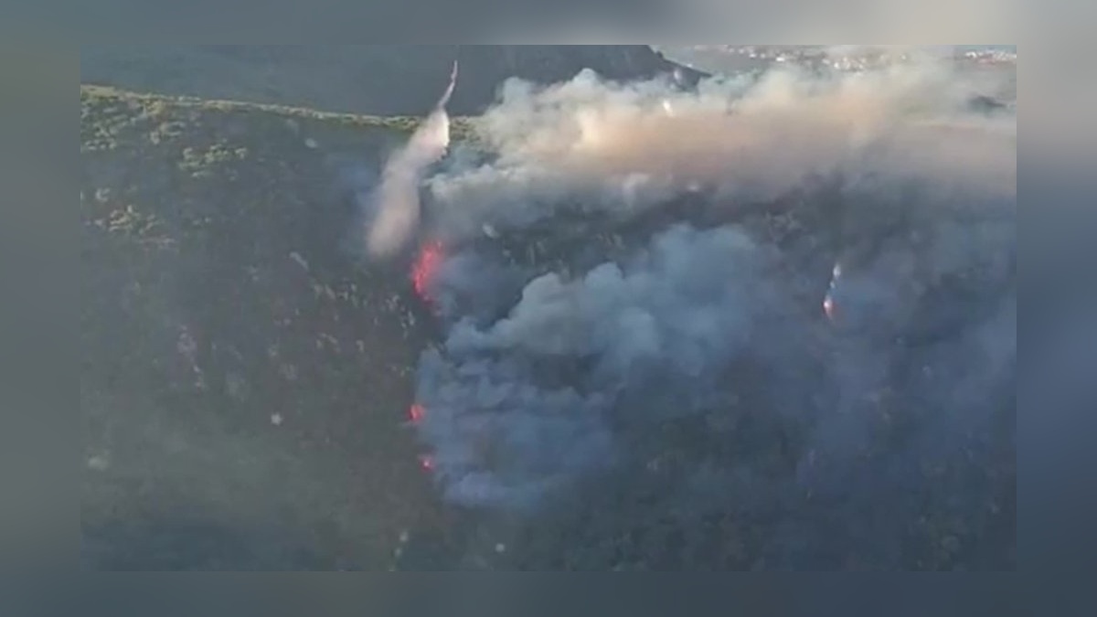 İzmir'de orman yangınlarına havadan müdahale sürüyor
