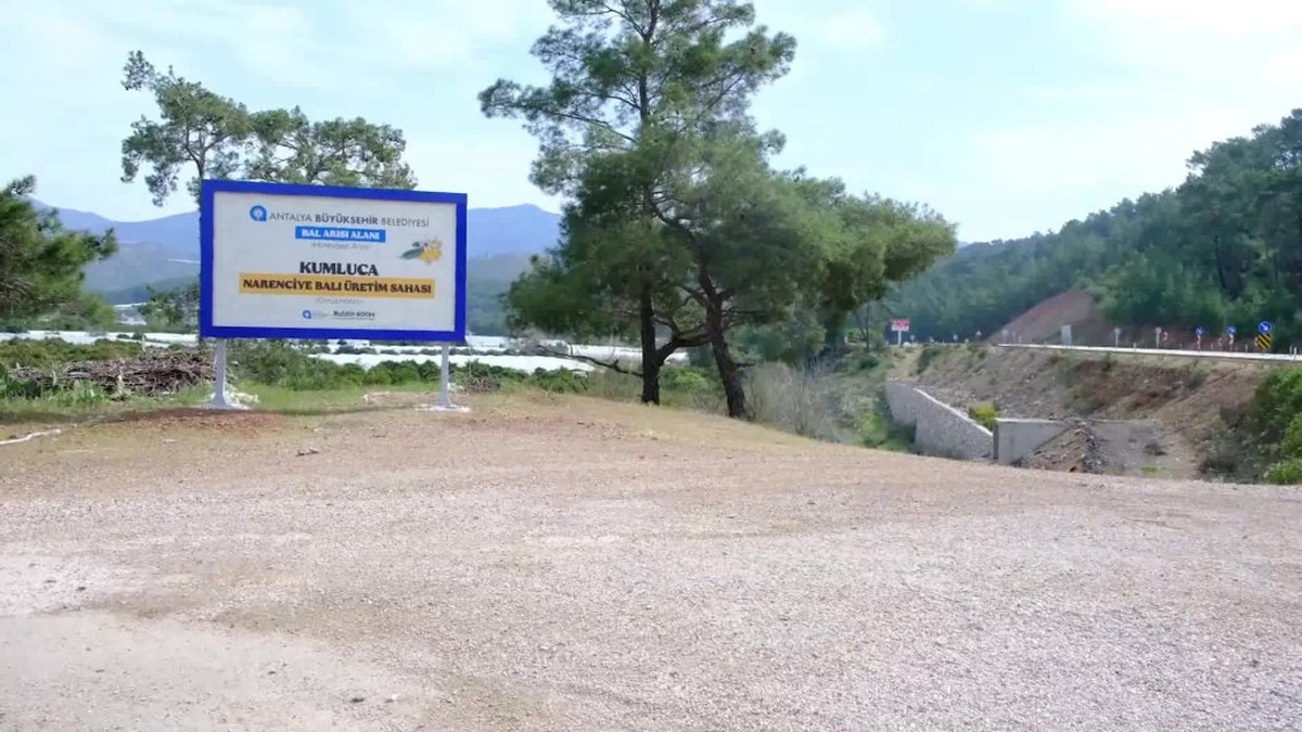 Antalya Büyükşehir Belediyesi'nden Arıcılara Destek: Narenciye Balı İçin Coğrafi İşaret Tescili