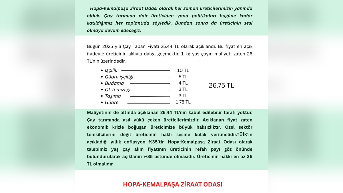 Artvin Çay Üreticileri, 25,44 TL'lik Yaş Çay Fiyatına İsyan Etti