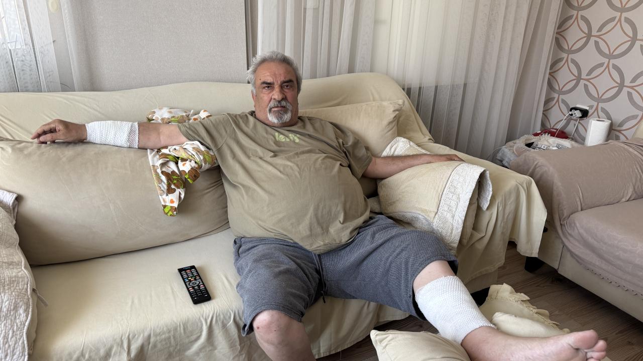 kopek-aa-2362279.jpg