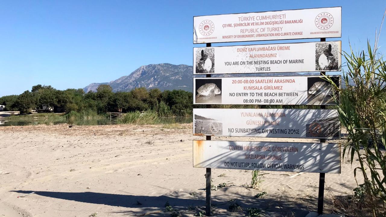 akdeniz-bolgesi-kumsaldha-2362462.jpg
