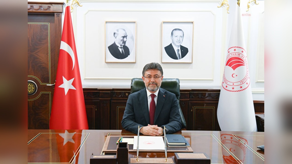 Bursa'daki yangın kontrol altında