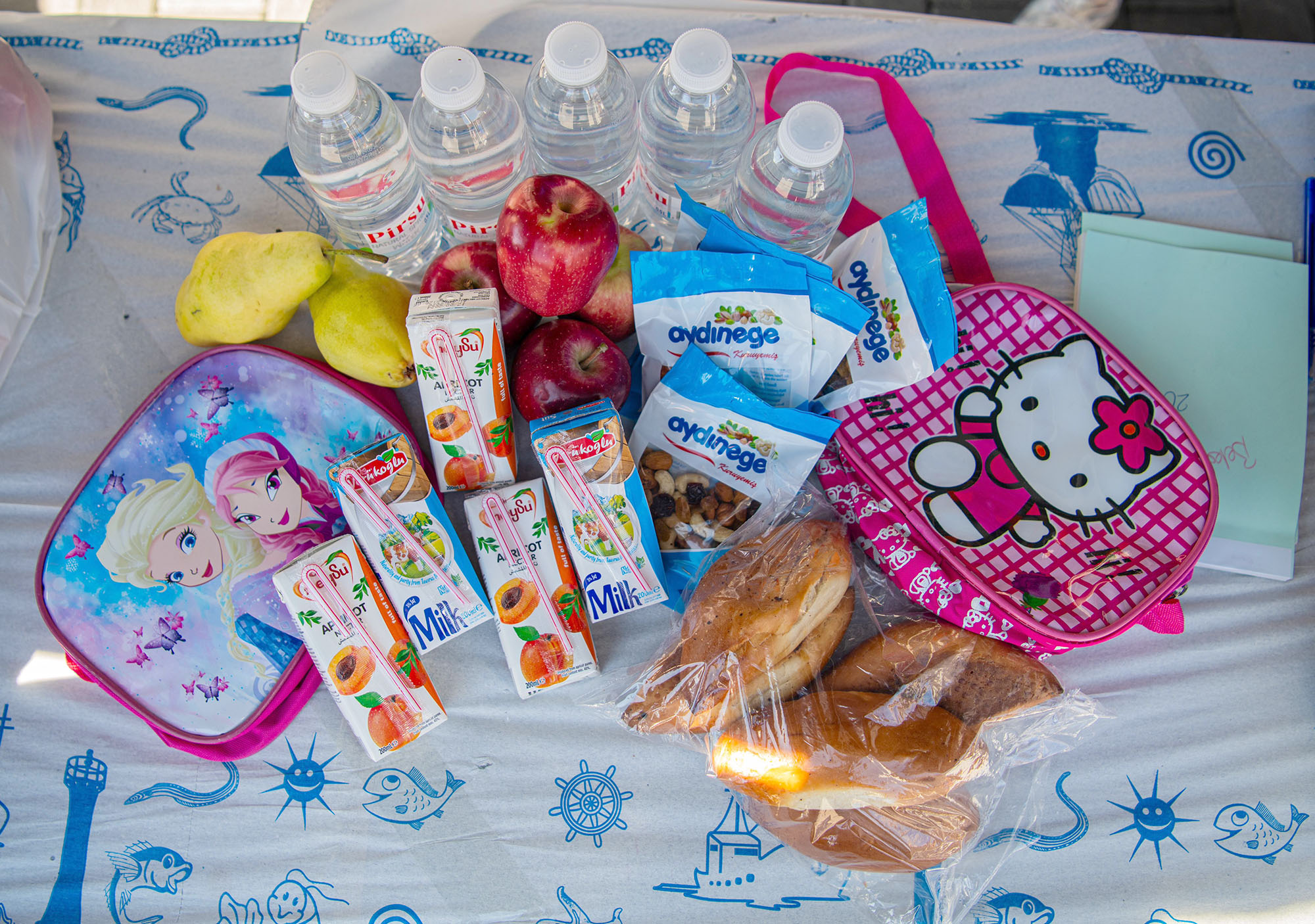 Beslenme Desteği (3)-4