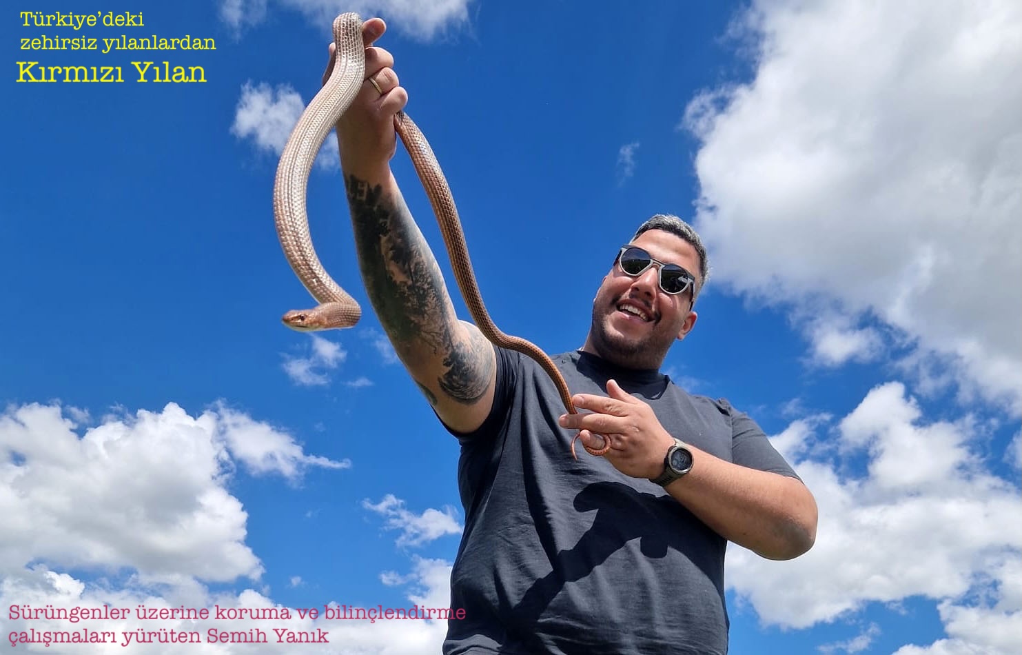 foto6kirmizi-yilan.jpg