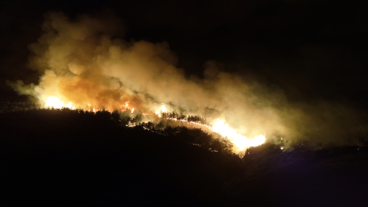 Tekirdağ'daki orman yangını Çanakkale'ye sıçradı