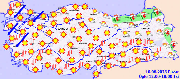 3813719 F8Ec50Cb8E5894D95Ea00811E90253F4