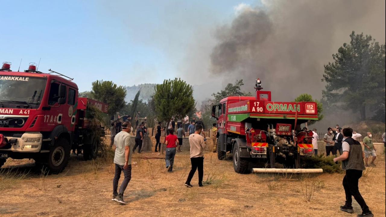 canakkale-orman-yangini-2387389.jpg