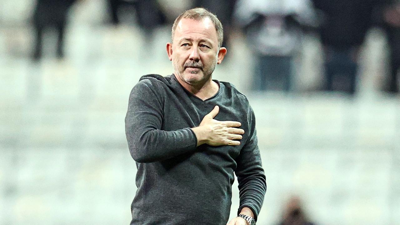 sergen-yalcin-aa-1718070.jpg
