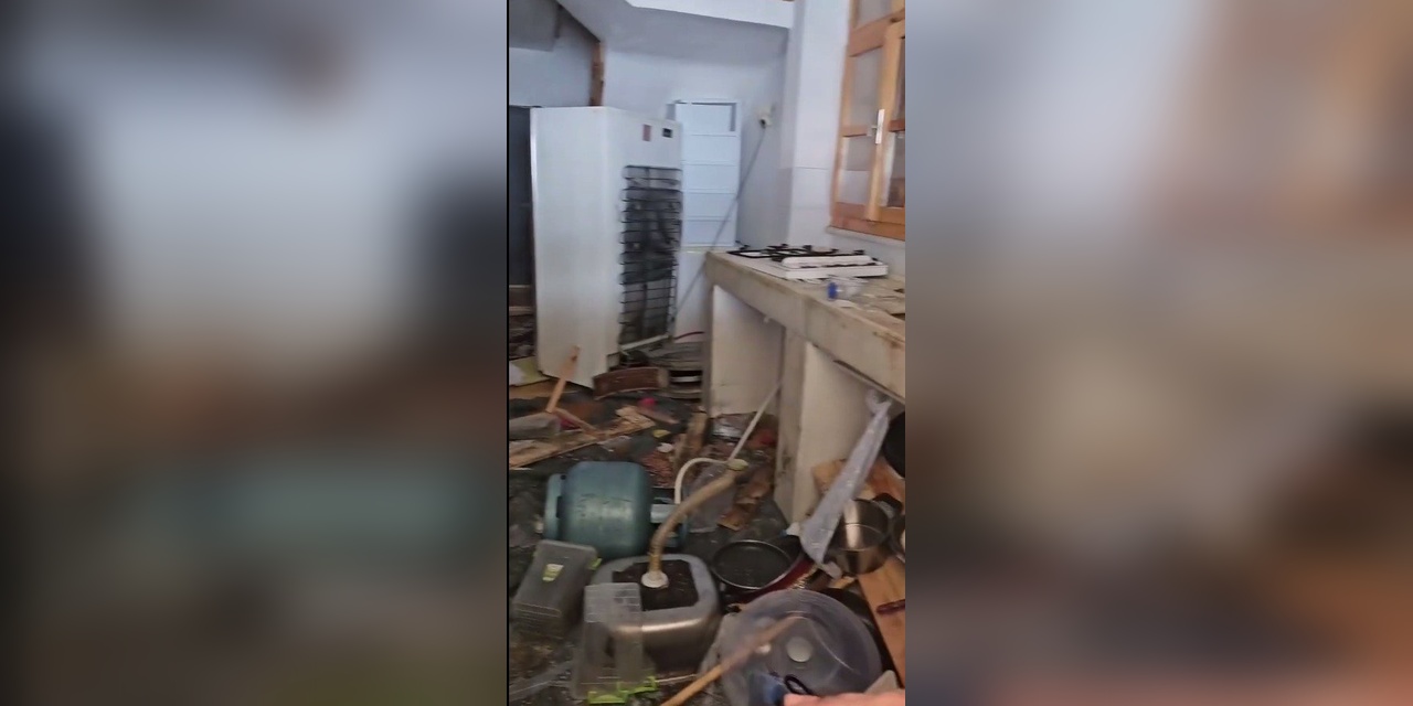 Araklı'da ayılar belediye başkanının evini talan etti