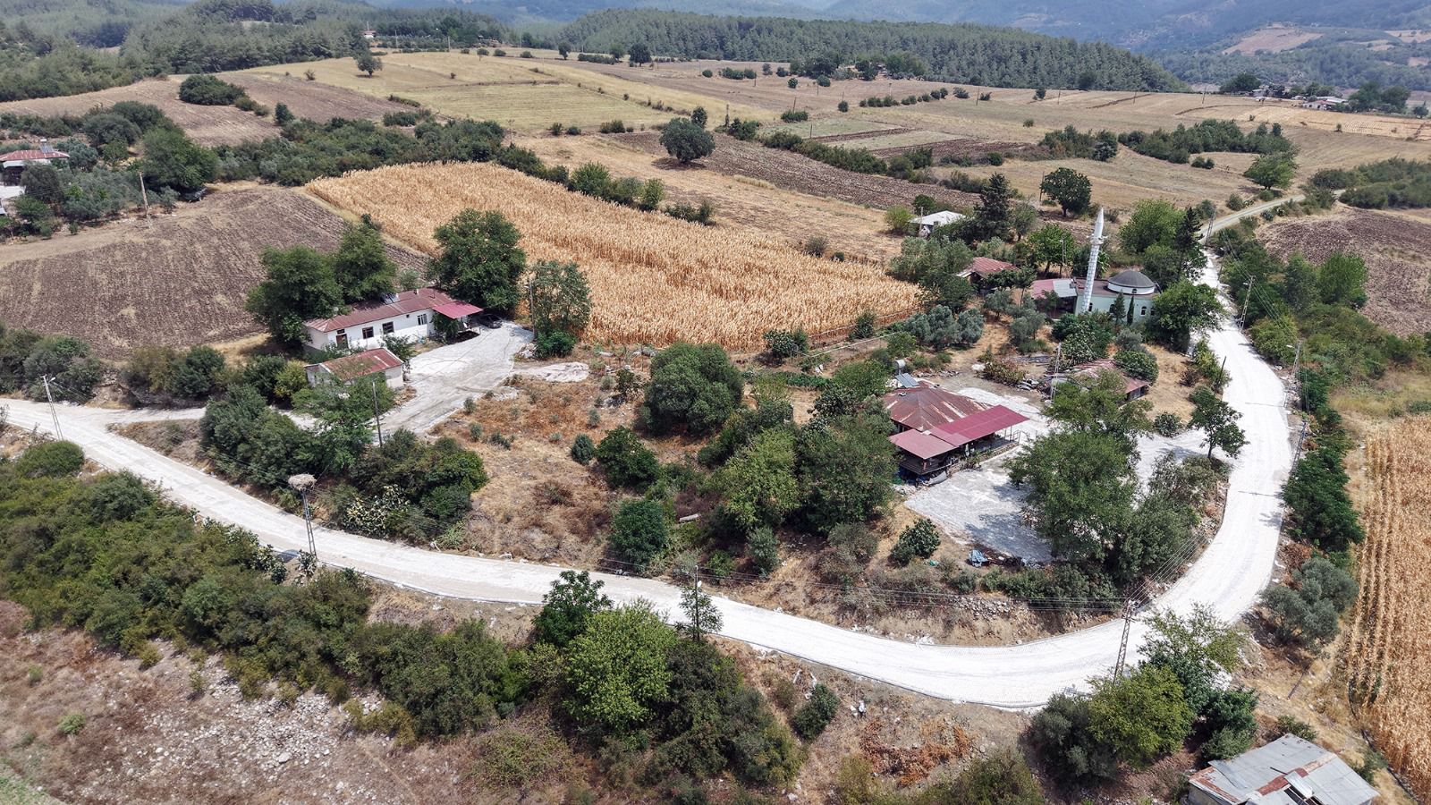 I M G 20250807 W A0020