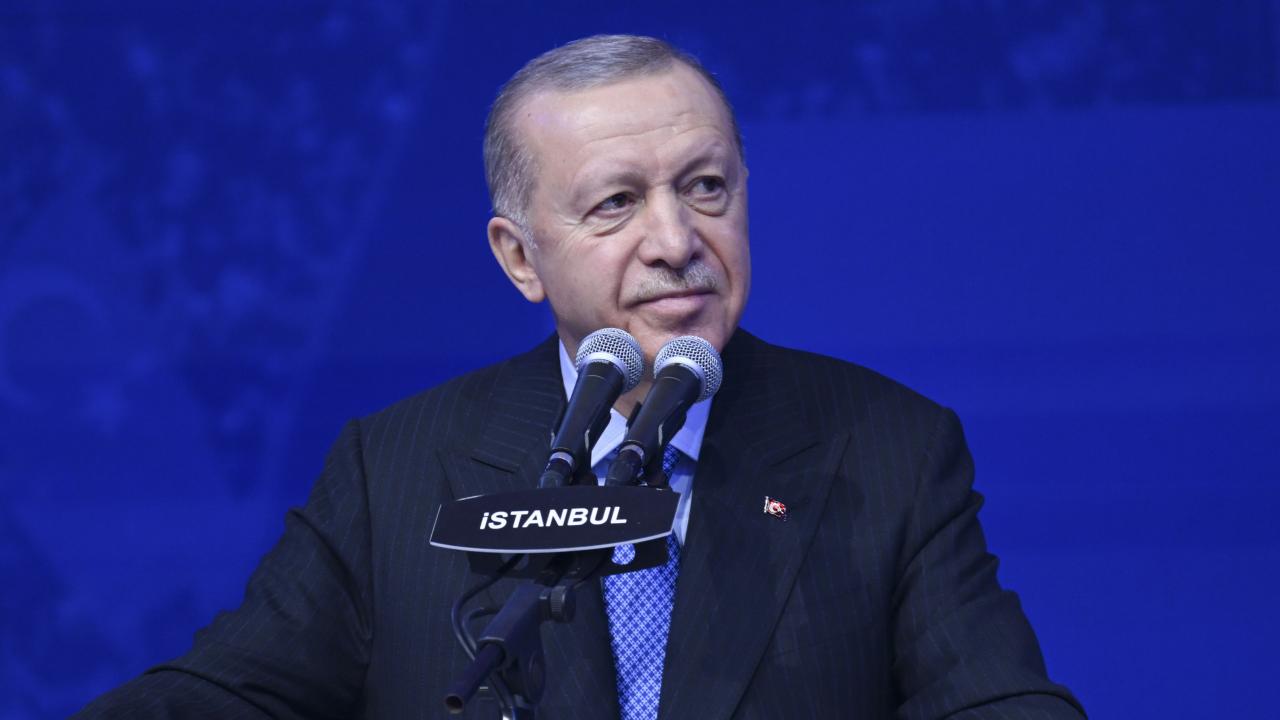 erdogan-2330109.jpg