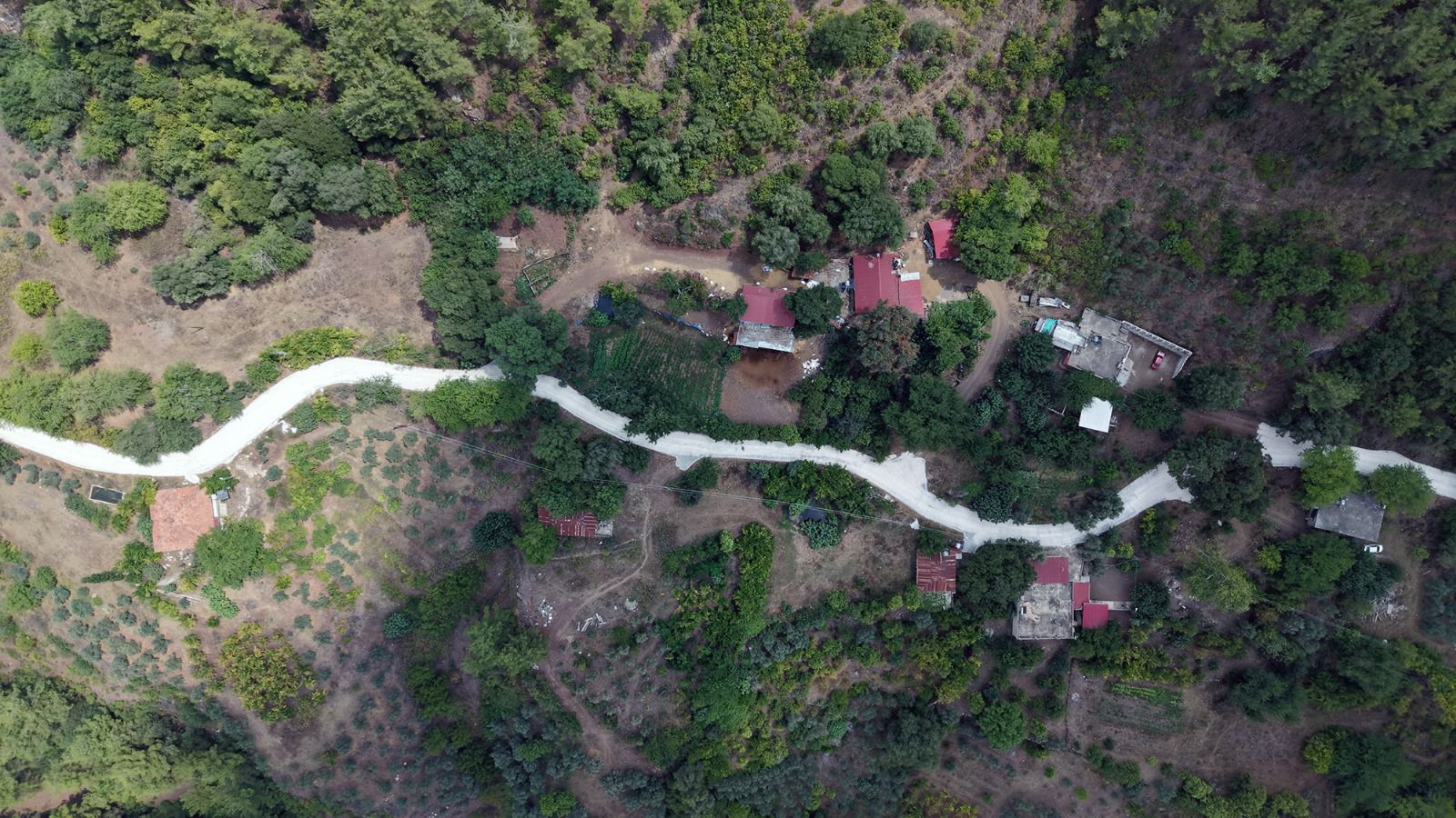 I M G 20250807 W A0024