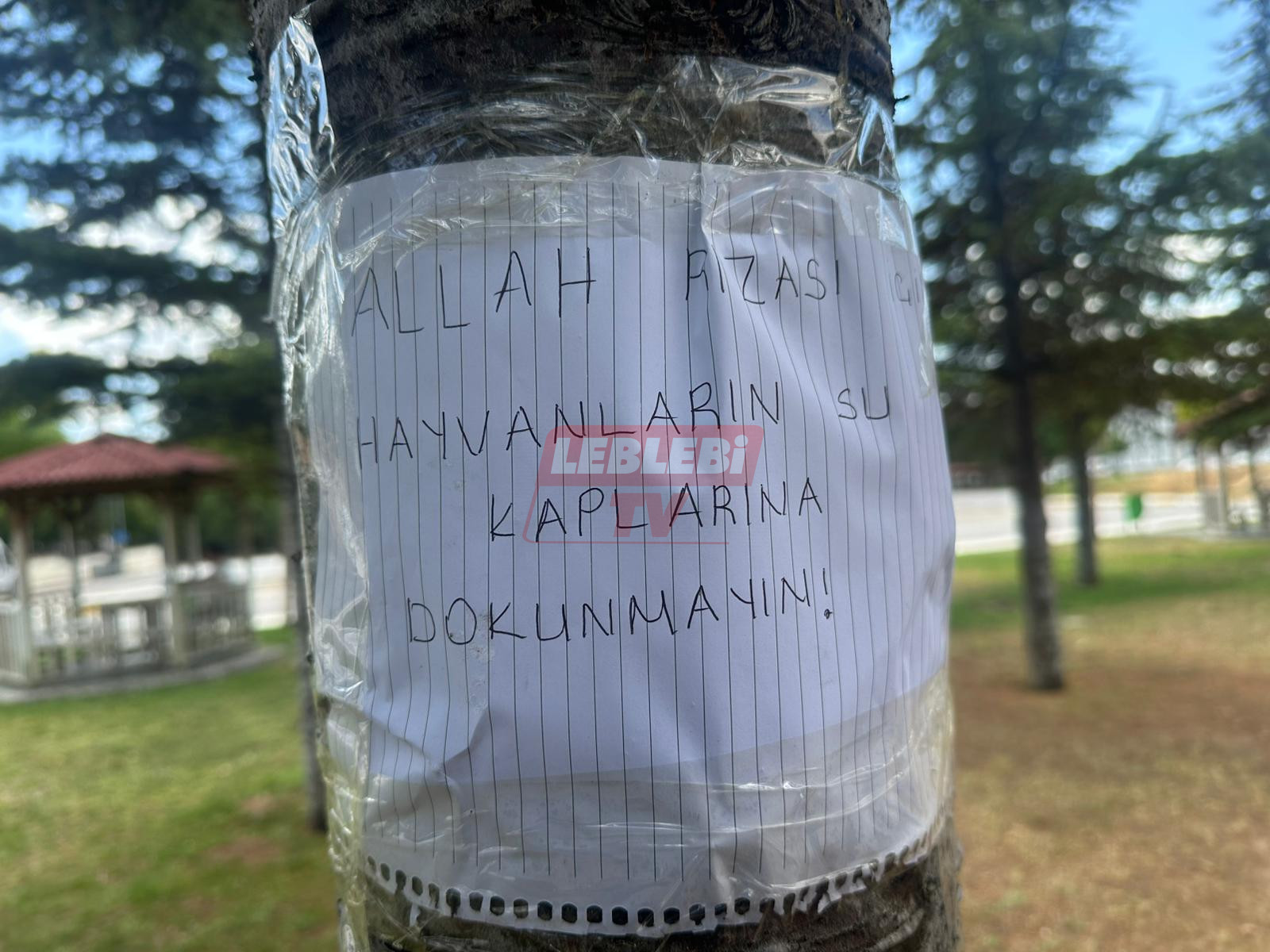 Whatsapp Image 2025 08 21 At 14.45.27 (2)