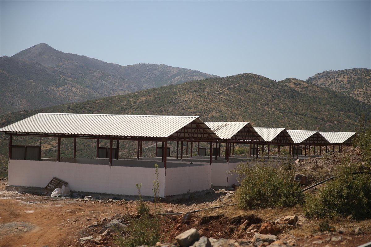 Ahir Besi̇ci̇ler (3)