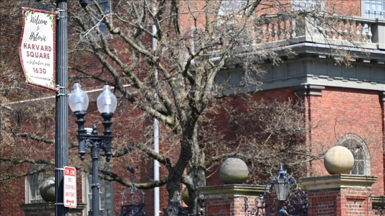 harvard-a-2357302.jpg
