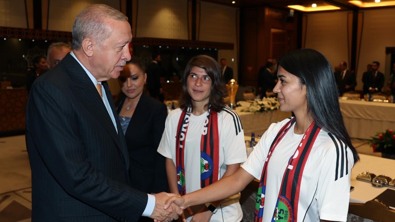 erdogan-2392395.jpg