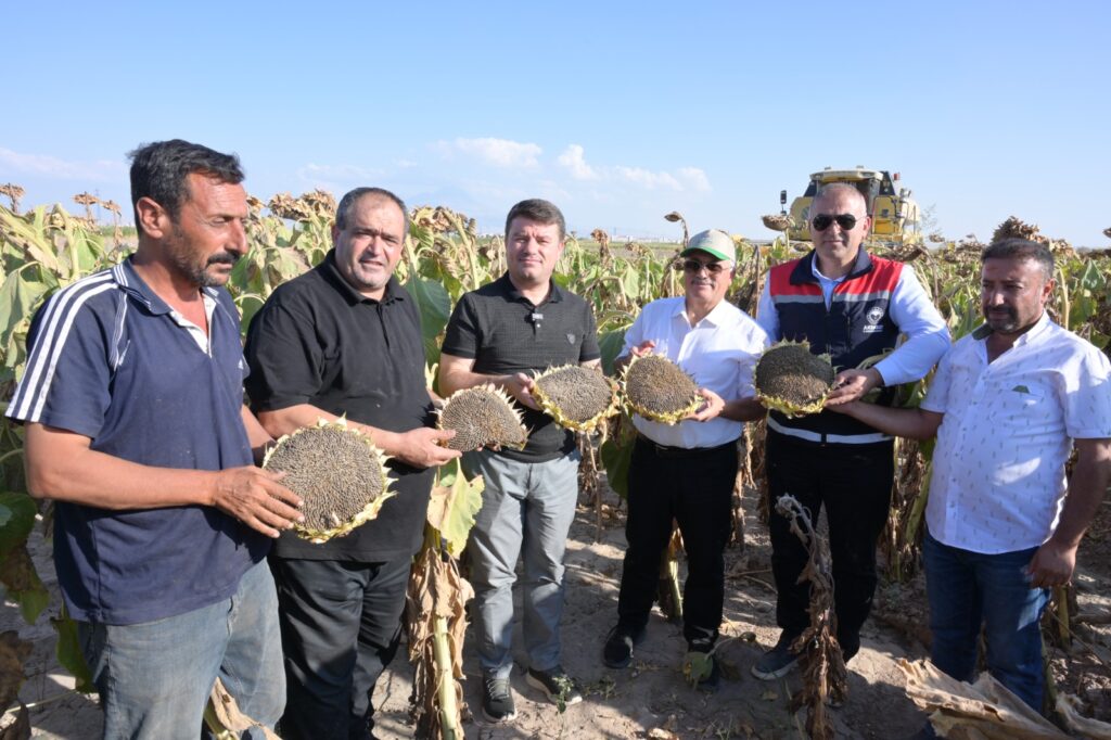 AYCICEK-HASADI-5-1024x682.jpeg