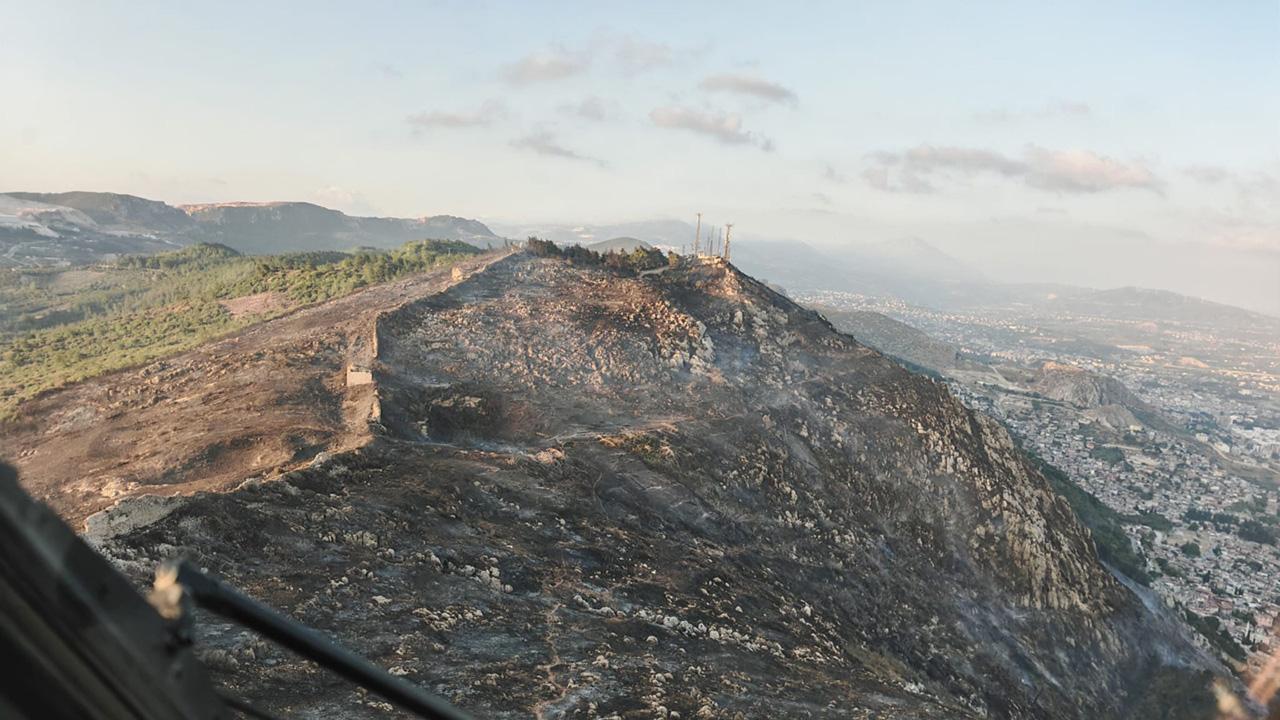 orman-yangini-dha-2392911.jpg