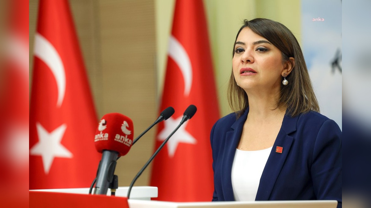 Gamze Taşcıer: Doğum hızı düşüşü ekonomik değil, rejim krizi