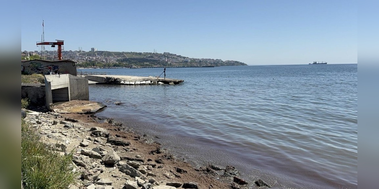 Süleymanpaşa Sahilini Kırmızı Yosunlar Kapladı