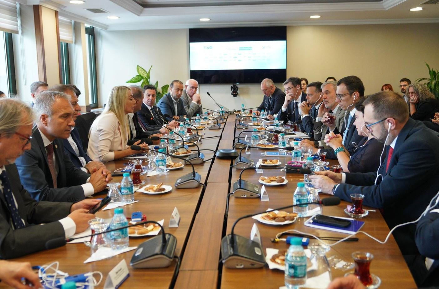 ekran-akkurtlintisi-1.JPG