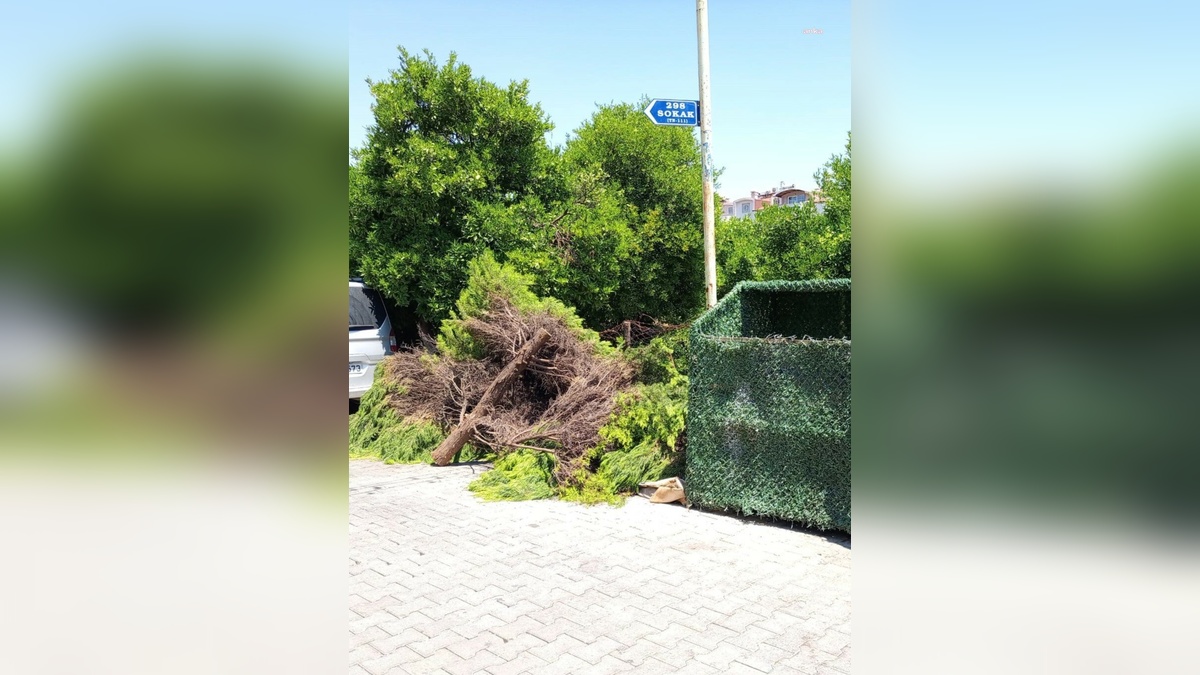 Marmaris Belediyesi eski atıkları ücretsiz alıyor
