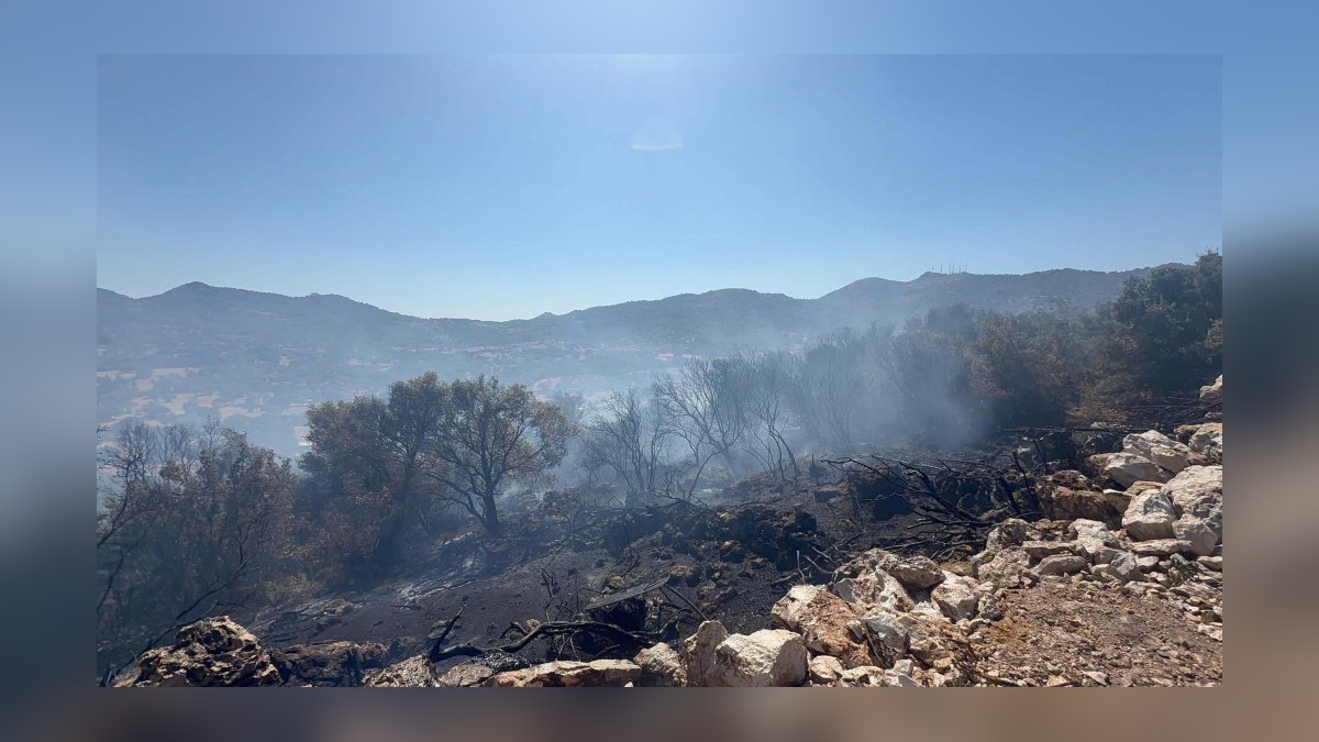 Bodrum'da yangın: 1,5 saatte kontrol altına alındı
