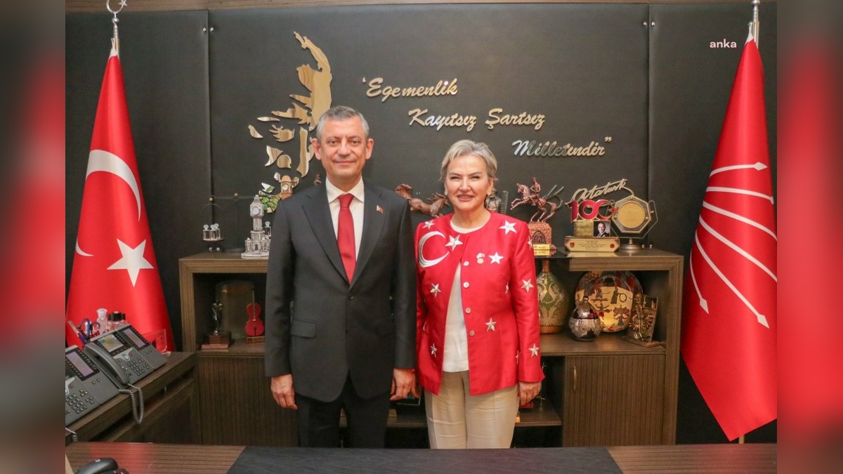 CHP, hayvan bakımevlerini denetleyecek komisyon kurdu