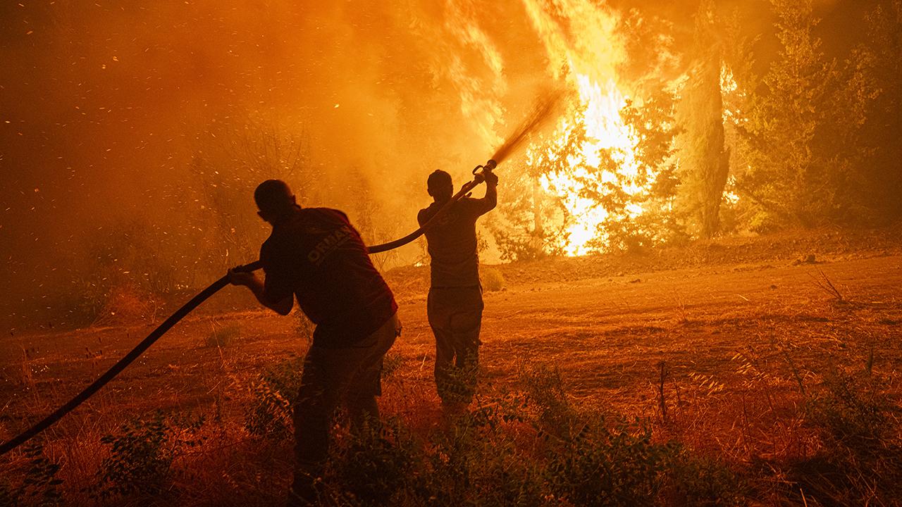 orman-yangini-aa-2388040.jpg
