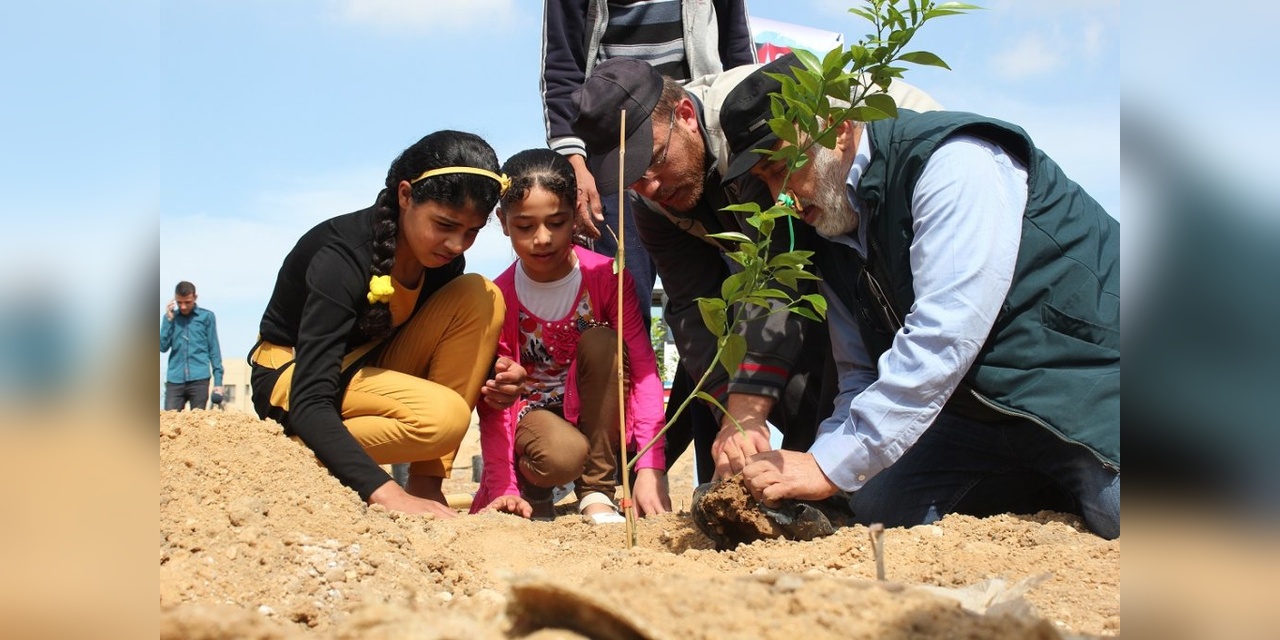 İHH, Her Yetime Bir Fidan Projesiyle 22 İlde 160 Bin Fidan Dikti