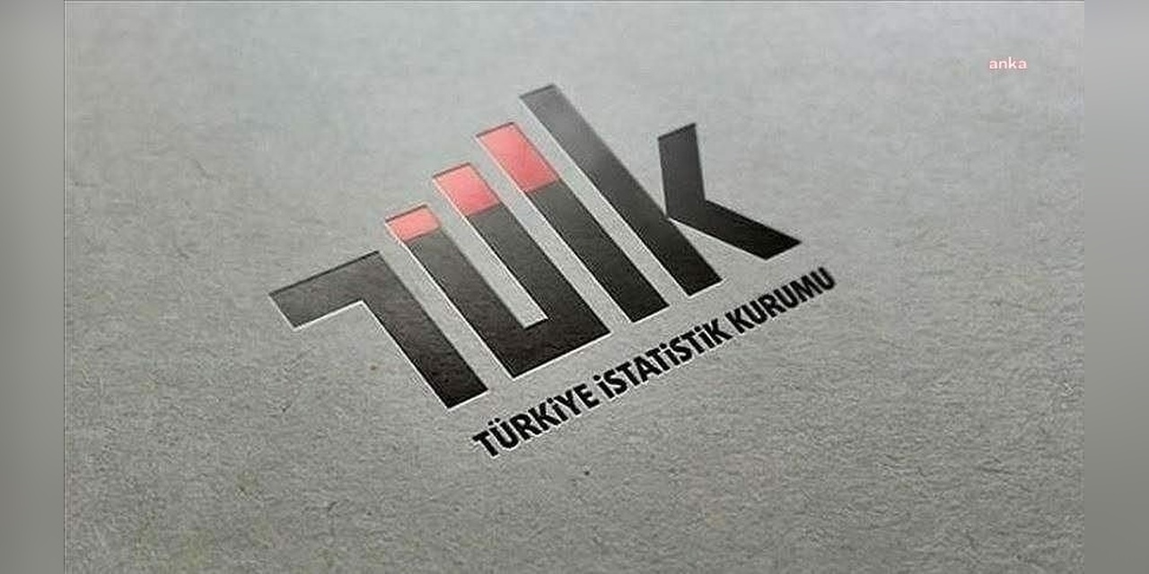 TÜİK Raporu: Ücretli Çalışan Sayısında Yıllık Artış, Aylık Azalış
