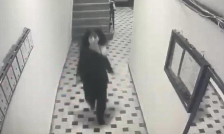 683155e6911df68ede4576cb.jpg