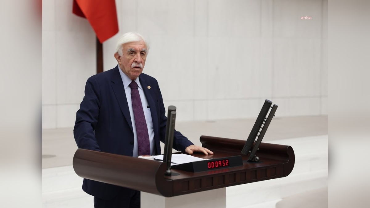 DEM Partisi'nden TBMM Başkan adayı: Cengiz Çandar