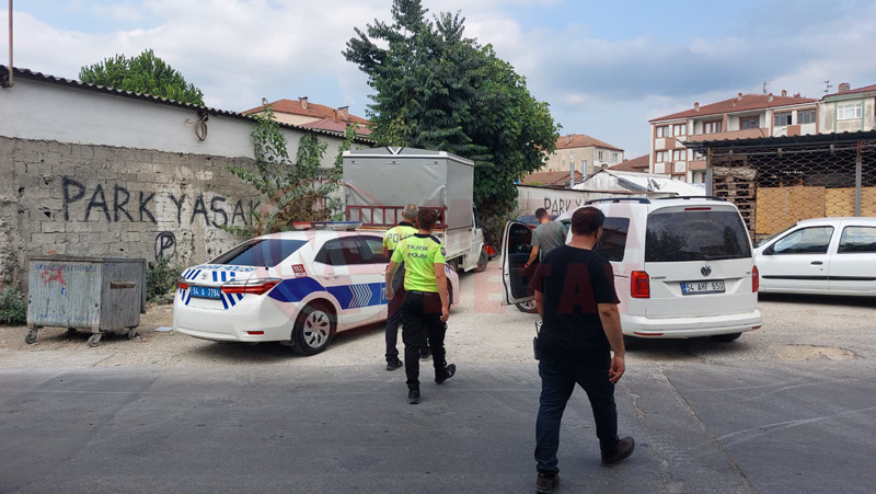 Yayaya Carpip Kacti6