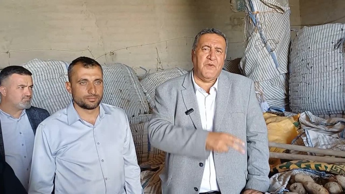 Niğde'de patates üreticileri mağdur: 'Hayvan yemi oldu'