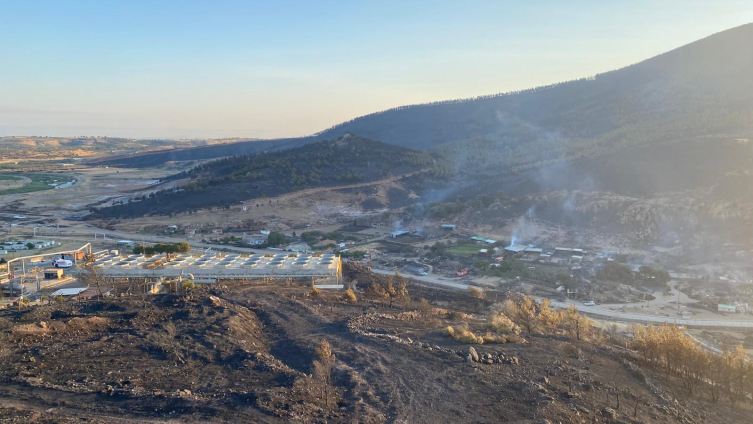 Çanakkale'de orman yangını