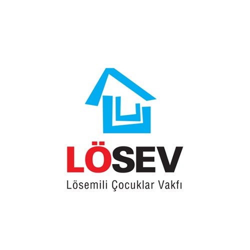 losev-1.jpeg