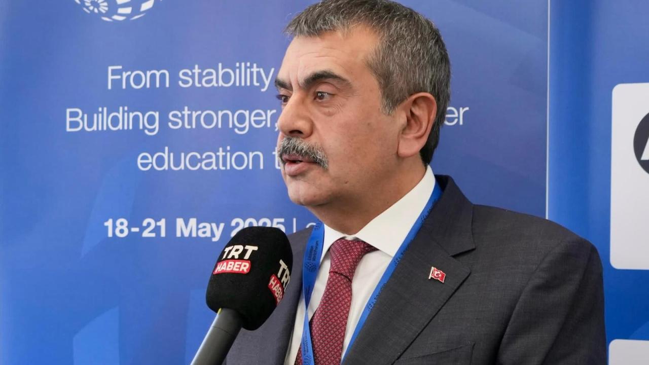 tekin-2362217.jpg