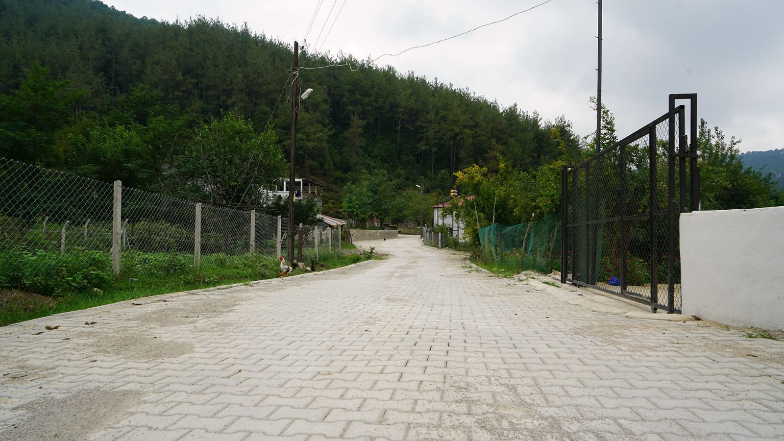 I M G 20250807 W A0022