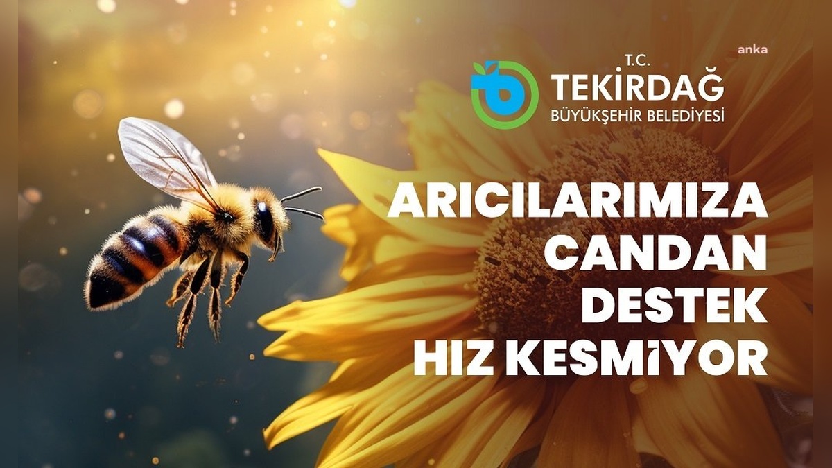 Tekirdağ'da arı üreticilerine yem desteği: Başvurular başladı